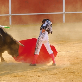 Bullfighter 4